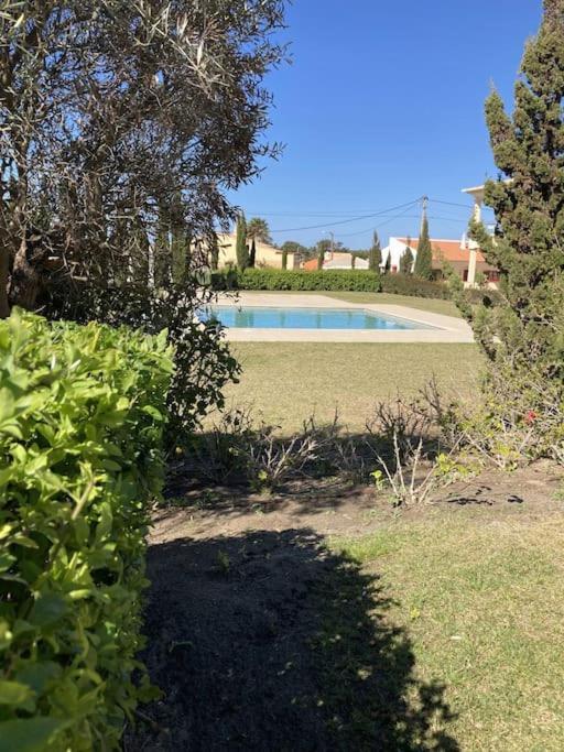 Panorama Apartment Sagres *Pool* Exteriör bild